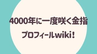 4000年に一度咲く金指 プロフィールwiki！
